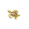 Tide Turtle