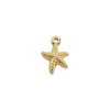 Tiny Starfish Spirit