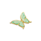 Blush Butterfly
