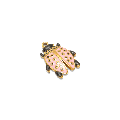 Luck Ladybug