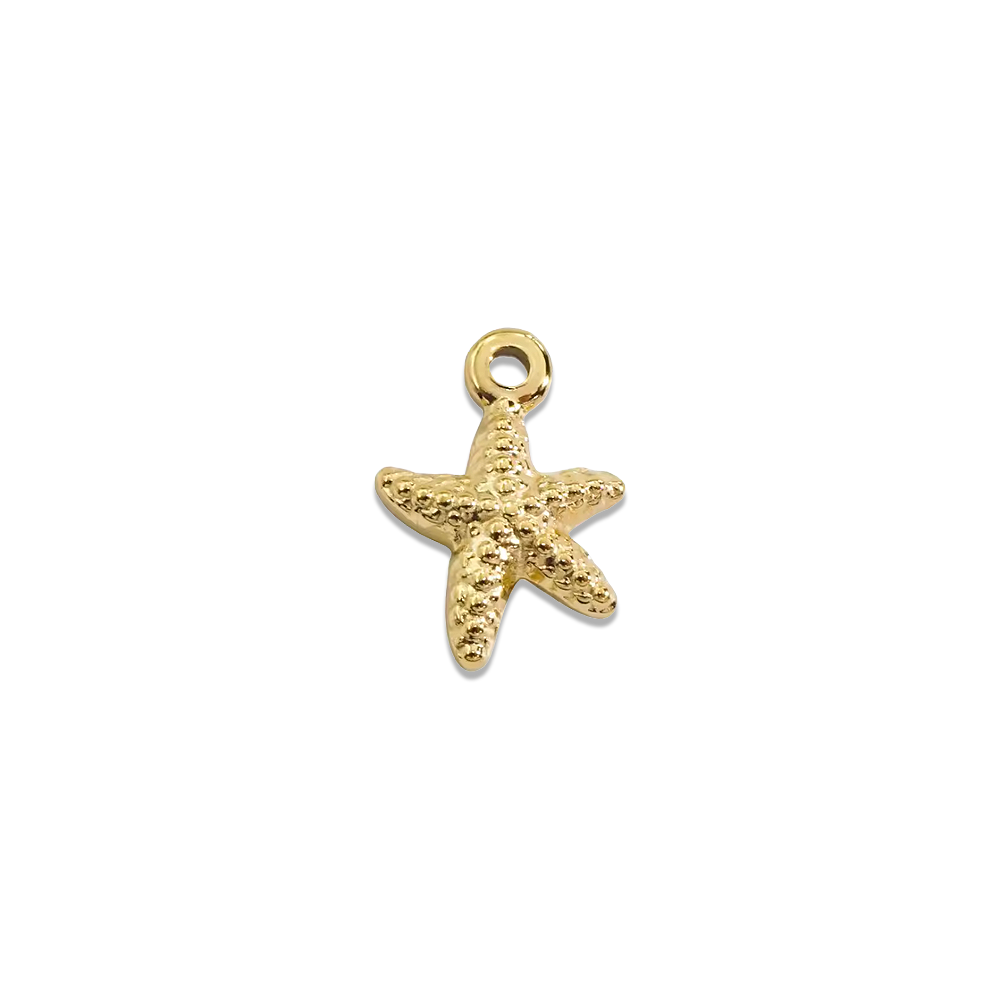 Tiny Starfish Spirit