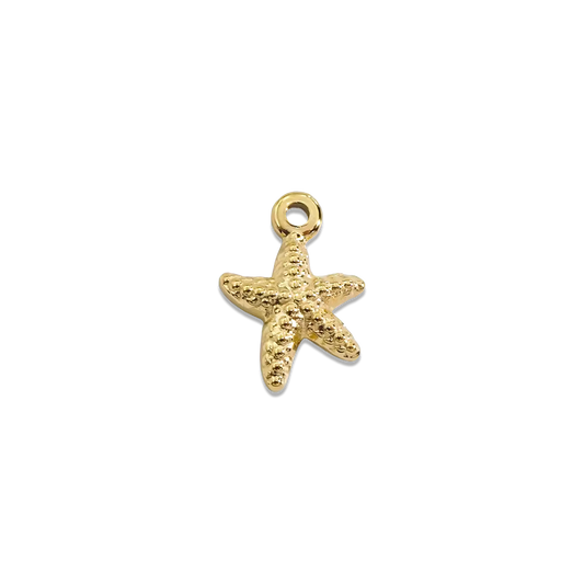 Tiny Starfish Spirit