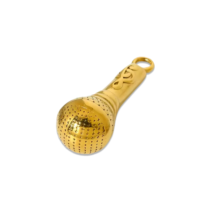 Voice Mic