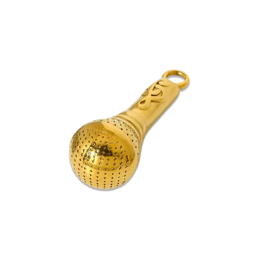 Voice Mic